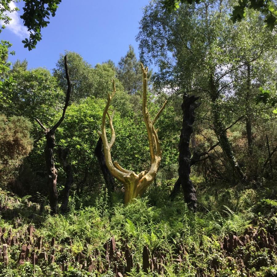 L'Hotie De Broceliande, Au Coeur Des Sites Naturels Et Legendaires Paimpont Exteriör bild