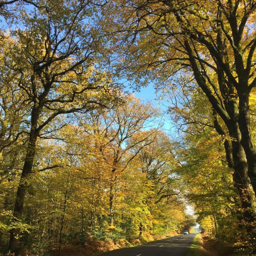 L'Hotie De Broceliande, Au Coeur Des Sites Naturels Et Legendaires Paimpont Exteriör bild