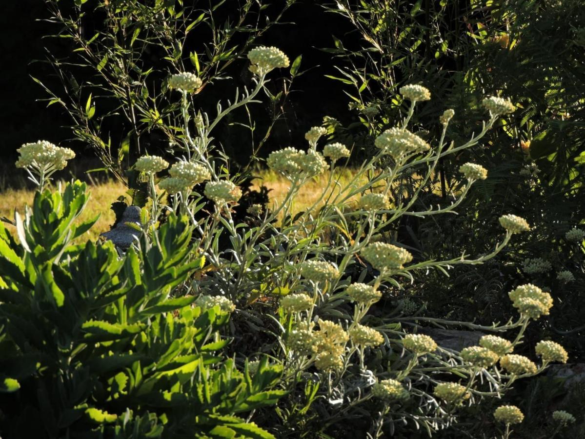 L'Hotie De Broceliande, Au Coeur Des Sites Naturels Et Legendaires Paimpont Exteriör bild