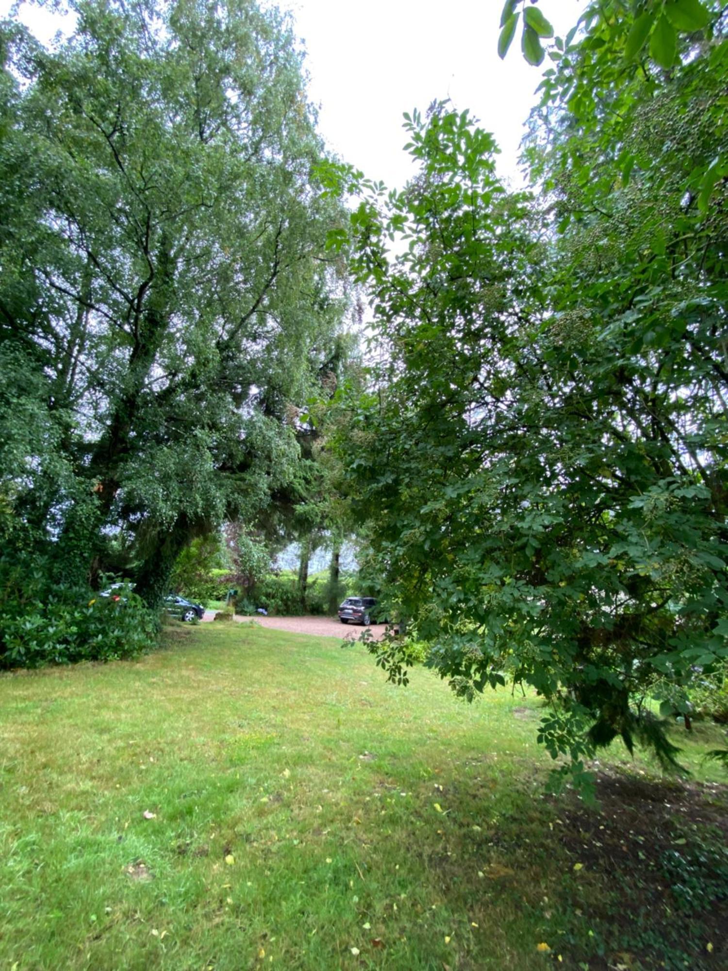 L'Hotie De Broceliande, Au Coeur Des Sites Naturels Et Legendaires Paimpont Exteriör bild
