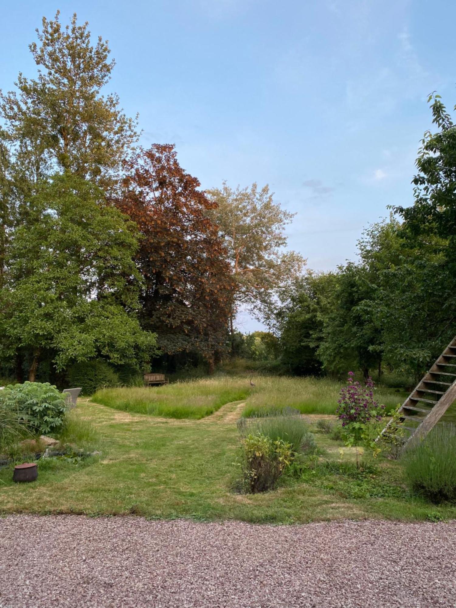 L'Hotie De Broceliande, Au Coeur Des Sites Naturels Et Legendaires Paimpont Exteriör bild